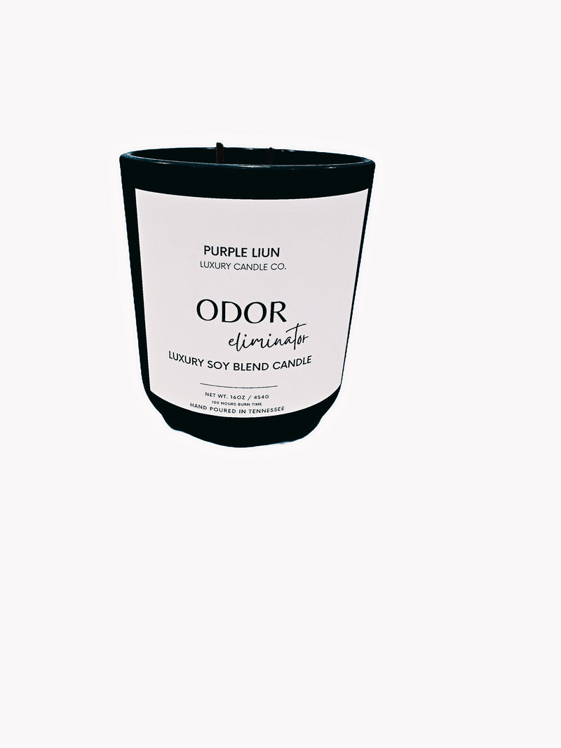 Odor Eliminating Candle